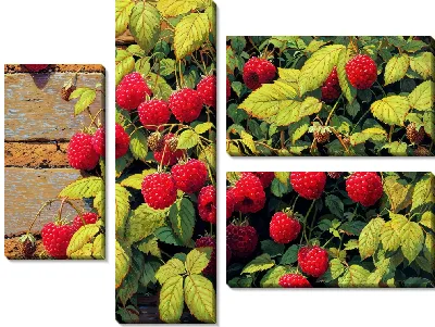 Модульная картина Куст малины