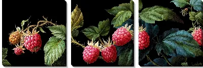 Модульная картина Малина на черном фоне