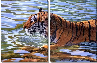 Модульная картина Тигр (Tiger) №4