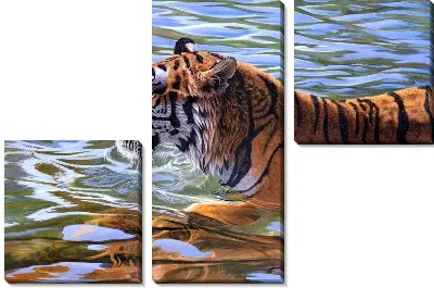 Модульная картина Тигр (Tiger) №4