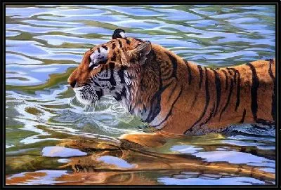 Картина Тигр (Tiger) №4