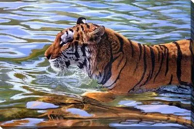 Картина маслом Тигр (Tiger) №4