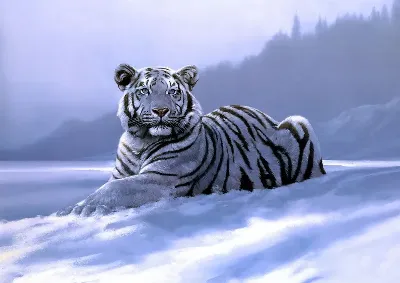 шаблон id 38