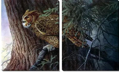 Модульная картина Сова (Owl) №3