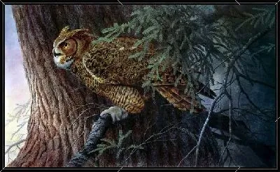 Картина Сова (Owl) №3