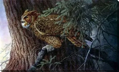 Картина маслом Сова (Owl) №3