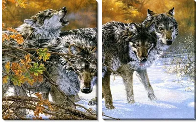 Модульная картина Волки (Wolves)