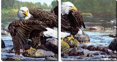 Модульная картина Орлы (The Eagles)