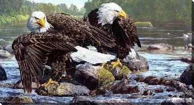 Постер Орлы (The Eagles)