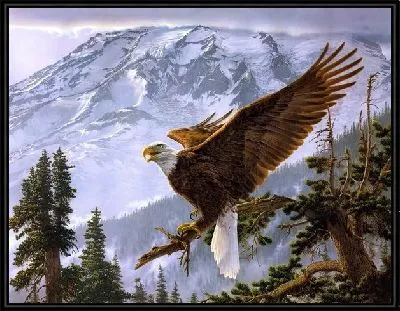 Орел (The Eagl)