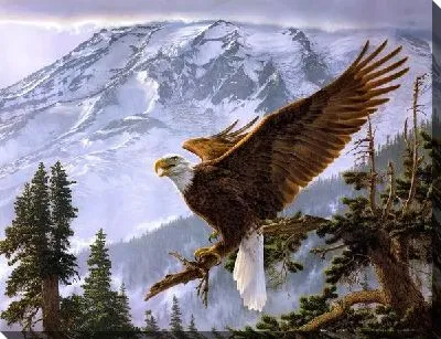 Орел (The Eagl)