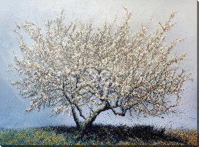 Картина маслом Цветущее дерево №14