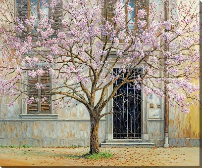 картина
