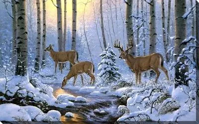 Картина Олени (Deer)