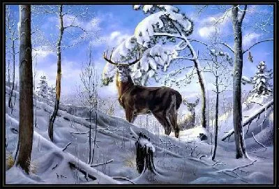 Картина Олень (Deer)