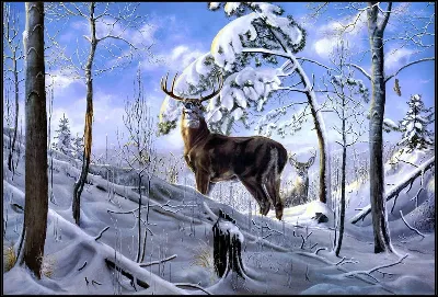 картина