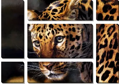 Модульная картина Леопард (Leopard) №2