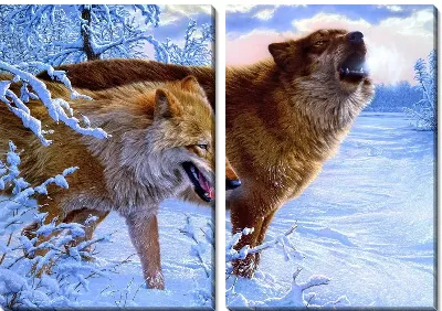 Модульная картина Волки (Wolves) №4