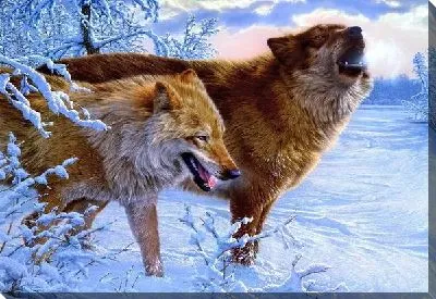 Постер Волки (Wolves) №4
