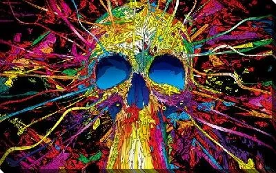 Постер Череп (Skull)