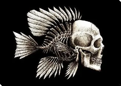 Постер Рыба (Fish) №8