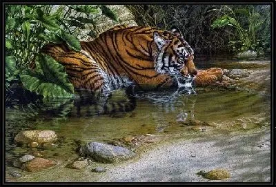 Картина Тигр (Tiger) №10