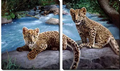 Модульная картина Леопарды (Leopards) №2