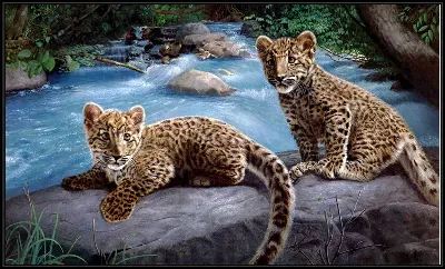 картина