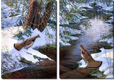 Модульная картина Глухари (Wood grouse)