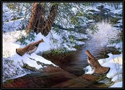 Картина Глухари (Wood grouse)