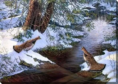 Картина маслом Глухари (Wood grouse)