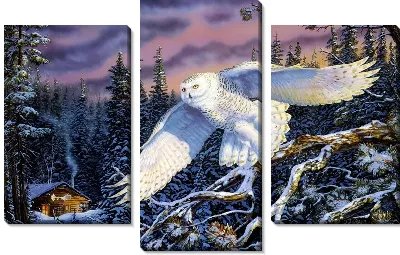 Модульная картина Сова (Owl) №5