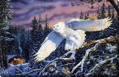 Картина маслом Сова (Owl) №5