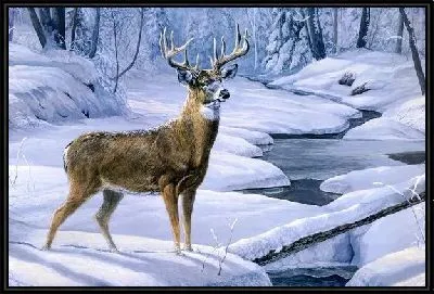 Картина Олень (Deer) №2