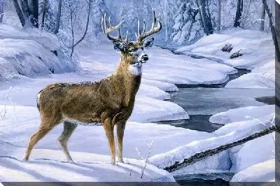 Картина маслом Олень (Deer) №2