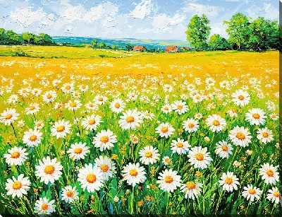 Картина маслом Ромашковое поле в полдень