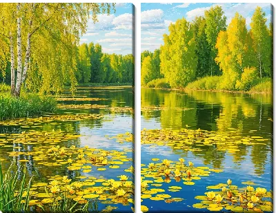 Модульная картина Летний пруд с кувшинками в полдень