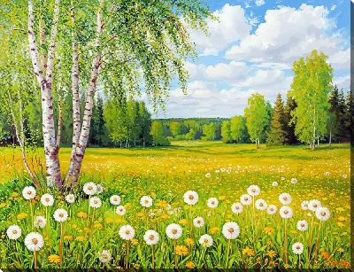 Картина маслом Береза и поле с одуванчиками