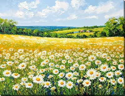 Картина маслом Солнечные ромашки в поле