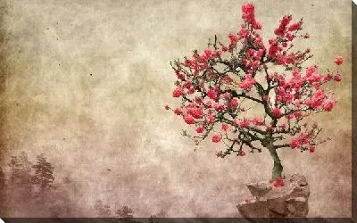 Постер Сакура (Oriental cherry) №3