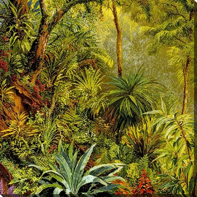 Картина маслом Тропические джунгли №5