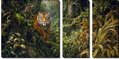 Модульная картина Тигр в джунглях