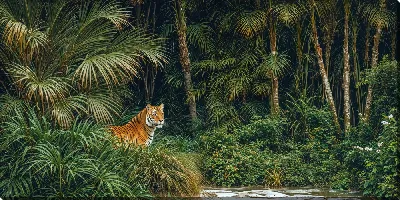 Картина маслом Тигр в джунглях №2