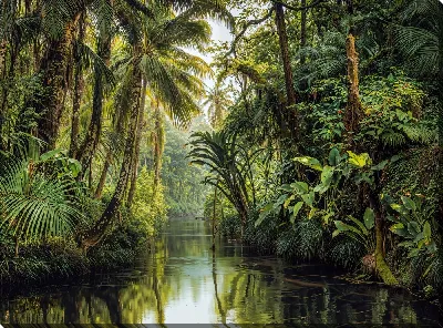 Картина маслом Тропические джунгли №12