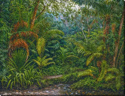 Картина маслом Тропические джунгли №20
