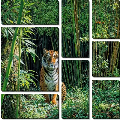 Модульная картина Тигр в джунглях бамбука