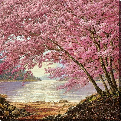 Картина маслом Цветущая сакура №317