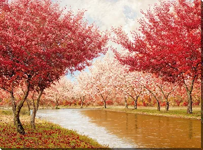 Картина маслом Цветущая сакура №524