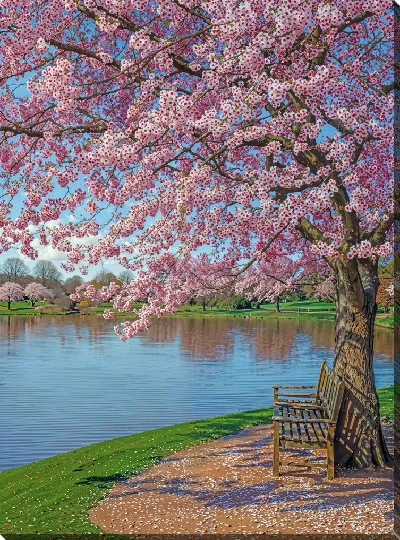 Картина маслом Цветущая сакура №332