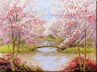 Картина маслом Цветущая сакура №333